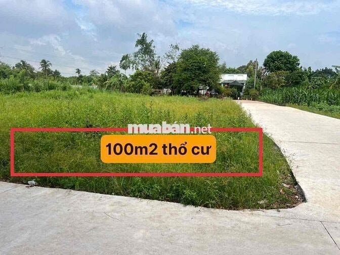 Sổ đỏ thổ cư gần Chợ Sông Thao