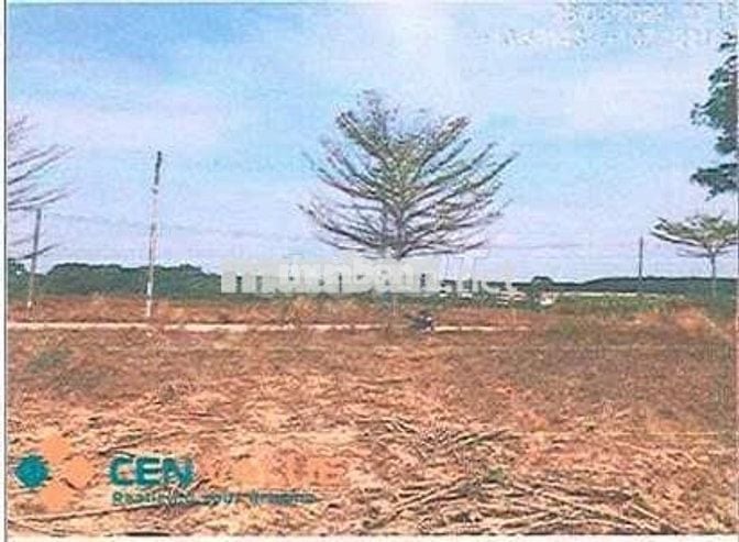 Bán ĐGTS đất tại phường Tân Thành, TP. Hồ Chí Minh