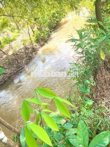 Chính chủ bể ngộp cần bán gấp 4300m2 đất tặng nhà mái Thái