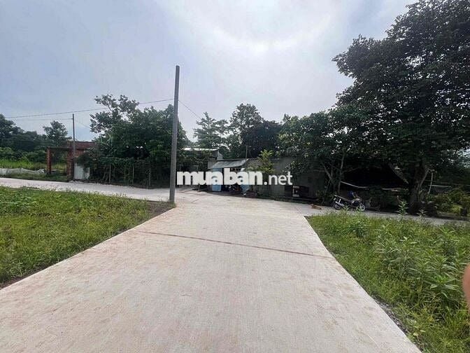 Sổ đỏ thổ cư gần Chợ Sông Thao