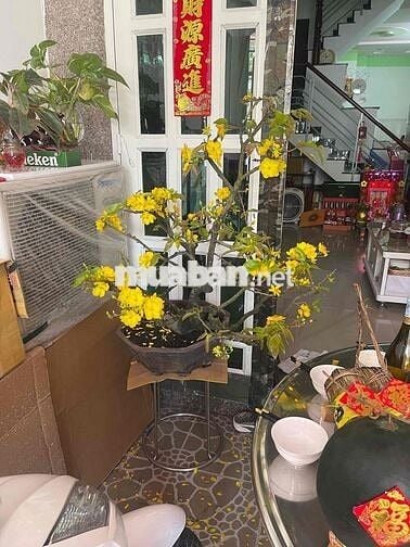 cần bán gấp căn nhà phố ngay trung tâm giải trí gò vấp sát cạnh ngay t