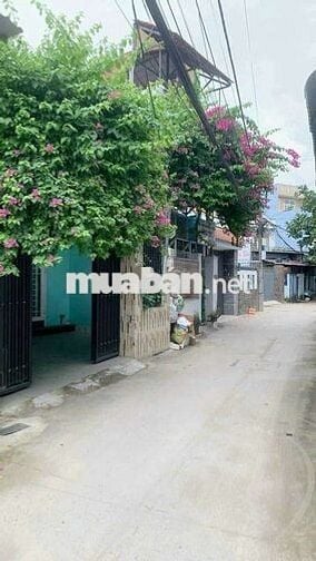 🏘️ Nhà cấp 4 2phòng 100m2,gần ủy ban Tân Xuân, Hóc Môn cho thuê 🏘️