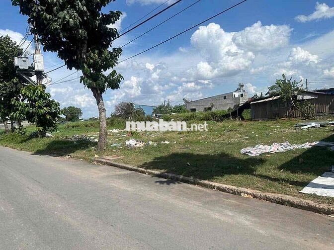 🎉LÊN SÓNG 4 LÔ ĐẤT GIÁ 4 TỶ 500 TRIỆU - XÃ BÀ ĐIỂM (new) - TP HCM - CH