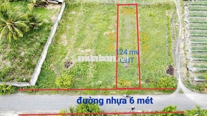 dt : 125m2 thổ , giá : 1tỷ290 , nhựt chánh - bến lức - long an