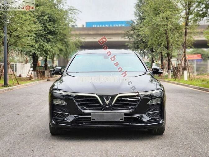 Lux A Premium 2019