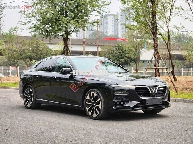 Lux A Premium 2019