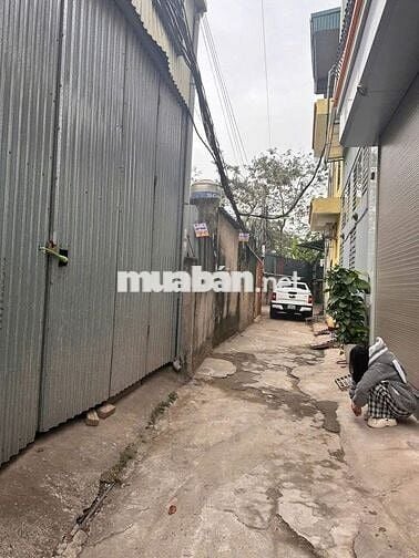 Bán gấp đất Liên Ninh ,ô tô, phân lô ,diện tích rộng ,giá 7.6 tỷ
