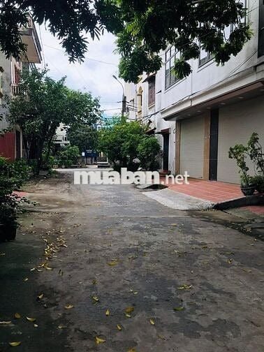 Bán gấp đất Liên Ninh ,ô tô, phân lô ,diện tích rộng ,giá 7.6 tỷ