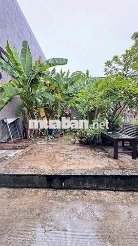 ❌ Bán Đất Đẹp Thổ Cư 100% _ Sổ Riêng, Xây Dựng Tự Do _ 823 LÊ VĂN LUOG