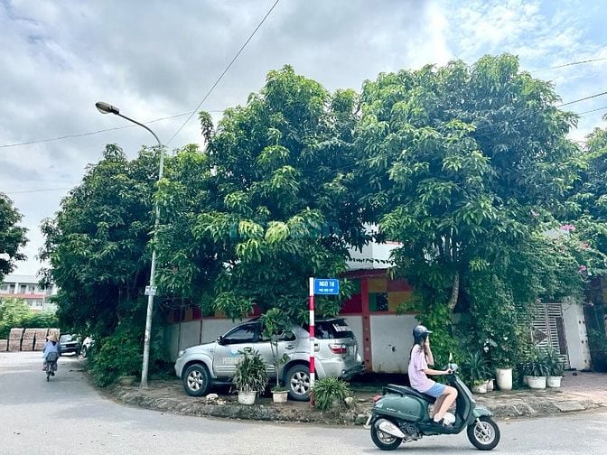 Lô đất mặt phố Tái định cư 31ha Trâu quỳ, Vỉa hè DT 140m2 - 1x tỷ