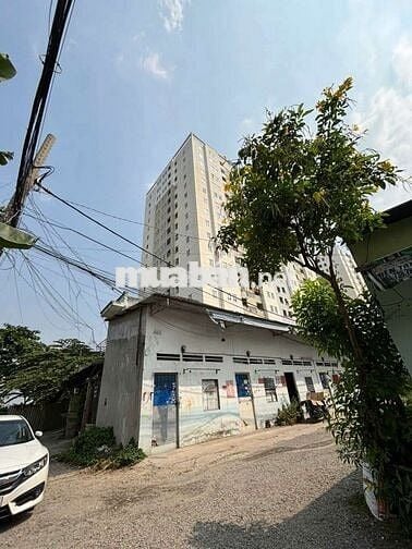 Nhà 1T, 2 lầu, 4 p ngủ, gần KCN Tân Bình, giá9tr,cọc 2 tháng