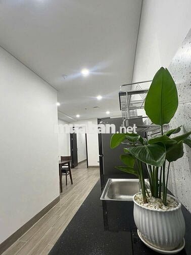 Cho thuê căn hộ 2 phòng ngủ ngay cầu Rồng