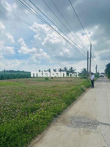 đất đẹp gần biển giá hời , Dc: Tân Điền , Gò Công dt:129m2 , Full Thổ