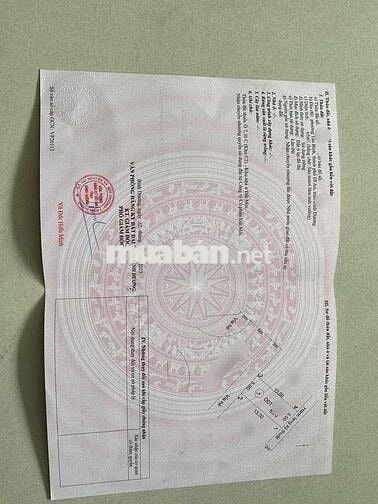 Bán dãy trọ ngang giá đất - có sẵn dãy trọ cho thuê lấy dòng tiền