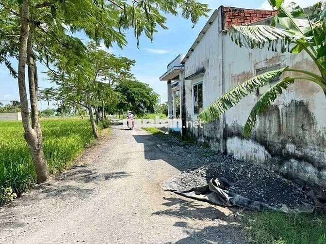 ĐẤT VƯỜN 1100M2 CÓ THỔ CƯ. ĐƯỜNG XEHƠI. XÃTÂN CHÁNH. CẦN ĐƯỚC. LONG AN