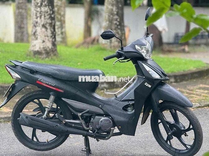 Elegant 50cc/ 2019