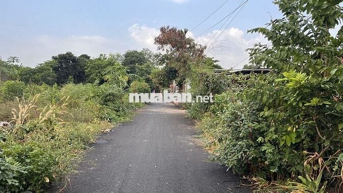 Bán230,9m2đất Mặt tiền47 phườngTamLong,TP.HCM (HòaLong BàRịa cũ)