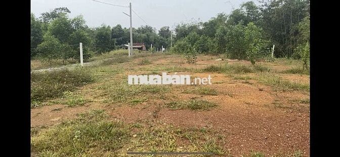 BÁN LÔ ĐẤT Ở TẠI NÔNG THÔN 1038M2 ĐẤT CÓ SẴN 100M2 THƠ CƯ,GIÁ RÉ