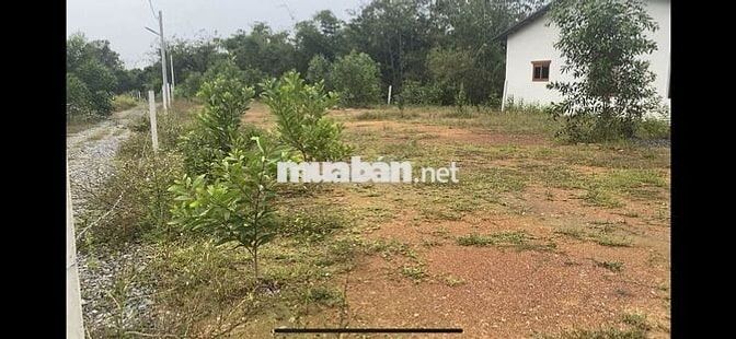 BÁN LÔ ĐẤT Ở TẠI NÔNG THÔN 1038M2 ĐẤT CÓ SẴN 100M2 THƠ CƯ,GIÁ RÉ