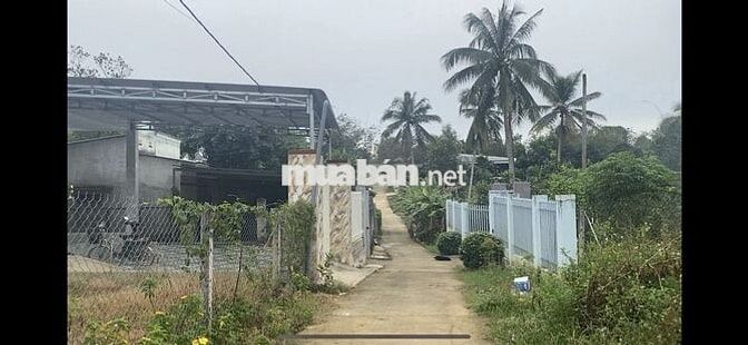 BÁN LÔ ĐẤT Ở TẠI NÔNG THÔN 1038M2 ĐẤT CÓ SẴN 100M2 THƠ CƯ,GIÁ RÉ