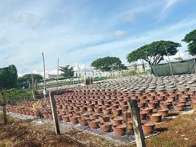 Chủ cần bán đất đường Lê Đỉnh lên nhà số 86 viê công viên, Aoen mall