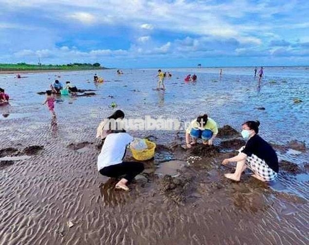 Đất đẹp đầu tư Ven biển Tân thành Gò Công Tiền Giang 117m2 chỉ 720tr