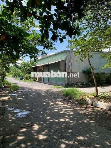 Đất Bán Gần Ngay KCN Hiệp Phước, Nguyễn Văn Tạo , Nhà Bè .