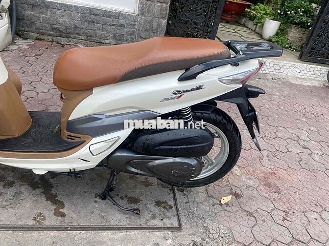 Xe Shark trắng mới tinh