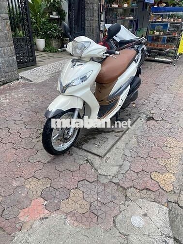Xe Shark trắng mới tinh