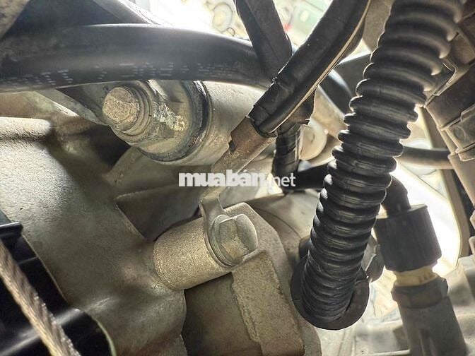 satria máy zin kiểng đẹp