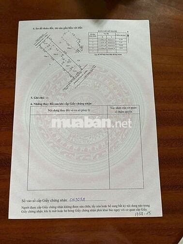 BÁN BIỆT THỰ - ĐƯỜNG LÊ VĂN SÔ - GẦN LỘ 40M