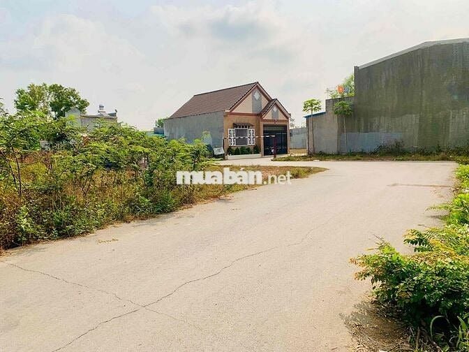 Đất hồng thổ cư chính chủ 2 mặt tiền đường Nguyễn Hoàng, Xã Trảng Bom
