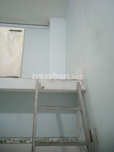 Cần tìm người ở ghép chung cho vui.