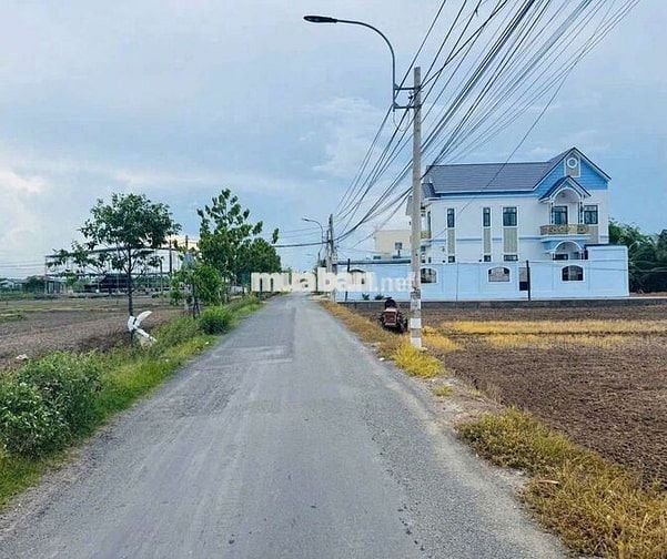 ĐẤT THỔ CƯ 100% ĐƯỜNG XE HƠI  7 X 34,5 XÃ MỸ LỘC. CẦN GIUỘC. LONG AN.