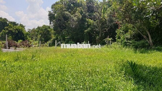 Đất TCLN ven sông Sài Gòn, khu Tân An Thủ Dầu Một (gần ranh Củ Chi)
