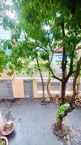 Cho thuê biệt thự sân vườn 204m² Lê Văn Thọ Gò Vấp, giá 38 triệu/tháng