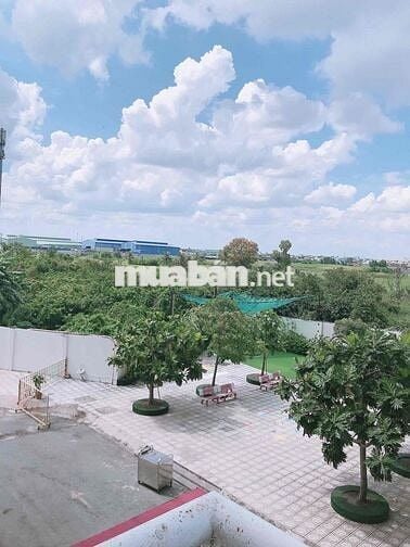 CHỦ CẦN CHO THUÊ CĂN HỘ LÊ THÀNH TÂN TAO BLOCK D LẦU ĐẸP ..NHÀ ĐẸP