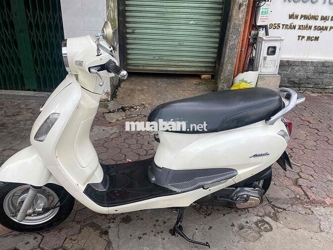 xe Elizabeth trắng biển đẹp