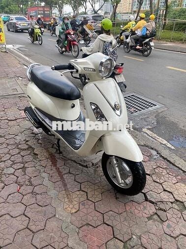 xe Elizabeth trắng biển đẹp