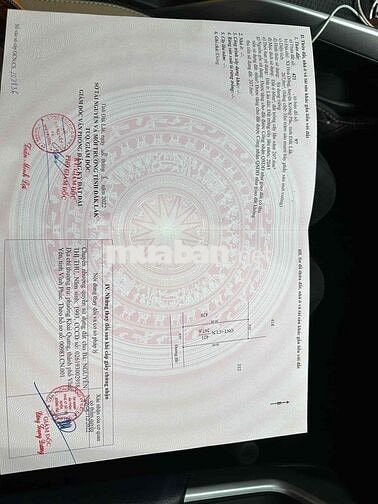 đất ngang 9 Hoà Đông 800 cần bán gấp giá còn tl