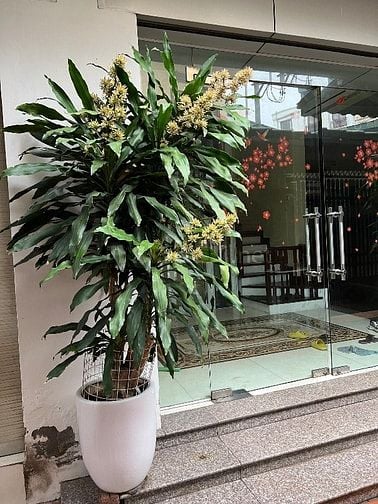 Chính chủ muốn bán nhà, thay đổi chỗ ở
