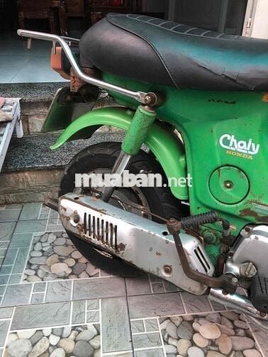 chaly81/50
