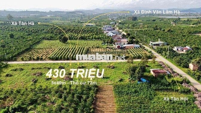 Đất nghĩ dưỡng lý tưởng ven Đà Lạt giá rẻ