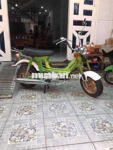 chaly78 xe Nhật