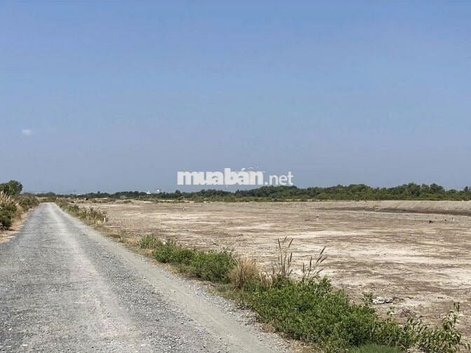 BÁN ĐẤT PHÂN LÔ GIÁ RẺ – MẶT TIỀN ĐƯỜNG NỘI BỘ LÝ NHƠN, CẦN GIỜ