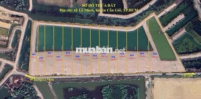 BÁN ĐẤT PHÂN LÔ GIÁ RẺ – MẶT TIỀN ĐƯỜNG NỘI BỘ LÝ NHƠN, CẦN GIỜ