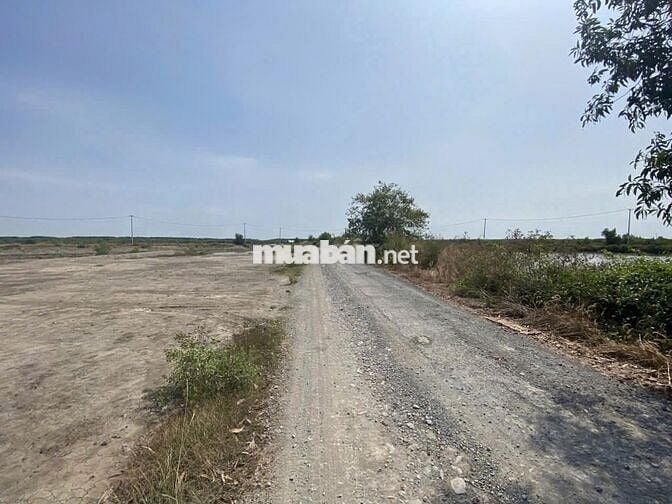BÁN ĐẤT PHÂN LÔ GIÁ RẺ – MẶT TIỀN ĐƯỜNG NỘI BỘ LÝ NHƠN, CẦN GIỜ