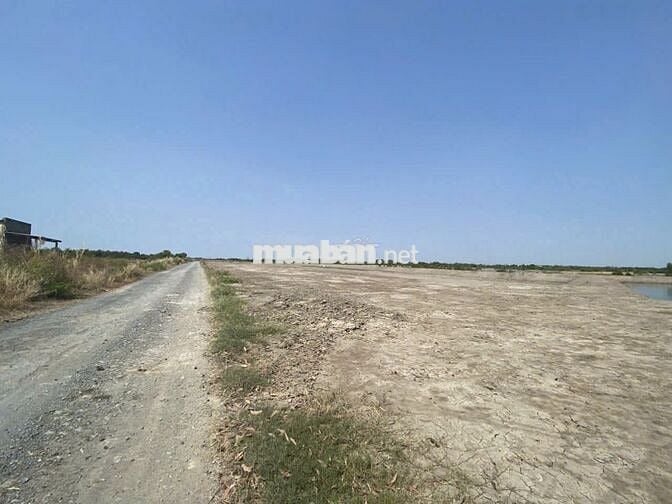 BÁN ĐẤT PHÂN LÔ GIÁ RẺ – MẶT TIỀN ĐƯỜNG NỘI BỘ LÝ NHƠN, CẦN GIỜ
