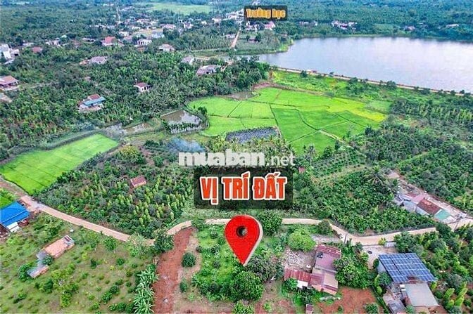 Đất vườn trái cây có thổ cư tại EaNing- Cu kuin- Daklak