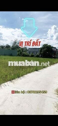 sổ hồng riêng , dt:5*21(105m2) giá : 279tr , đức tân-tân trụ-long an